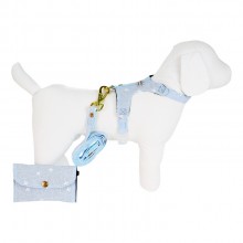 Coleira para Cachorro